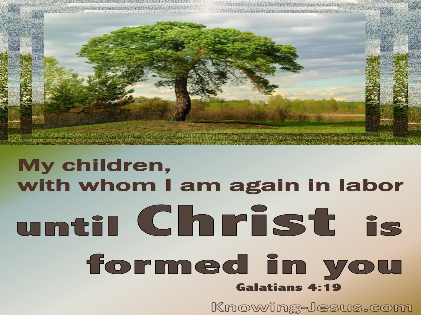 Galatians 4:19 Let Christ Be Formed In You (blue)